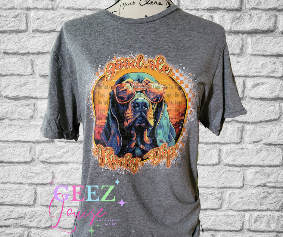Good ole Rocky Top Graphic Tee