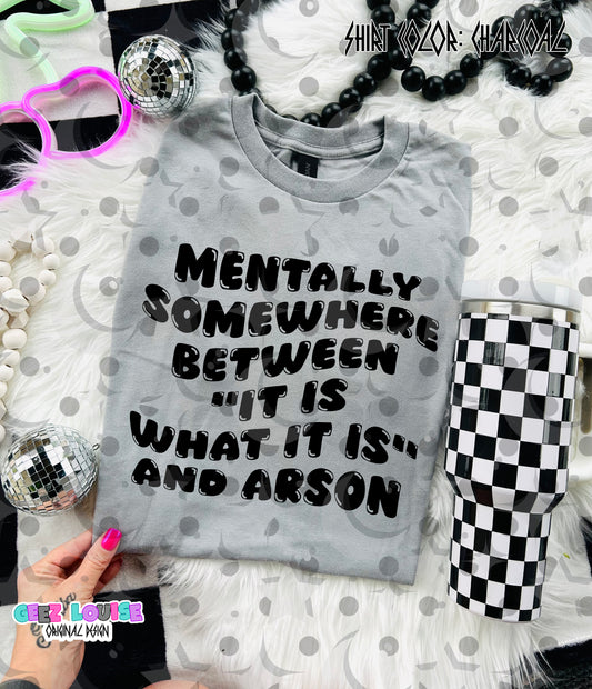 Mentally Somewhere Between “It Is What It Is” and Arson PNG | Funny Sarcastic Mental Health Shirt Design | Limited Digital Download